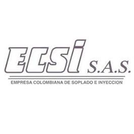ECSJ